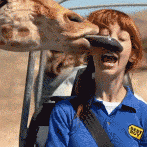 Giphy You can be like the giraffe.